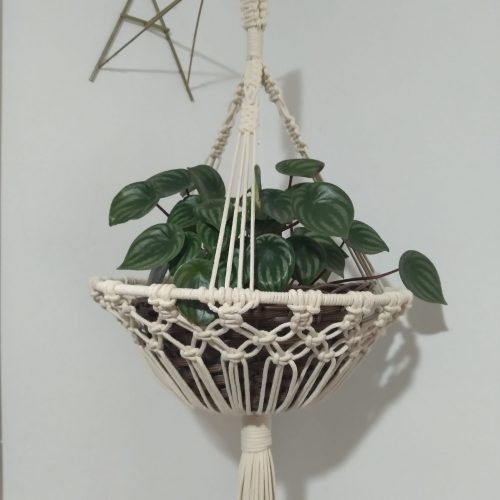 hang plant fruteira